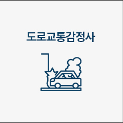 도로교통감정사